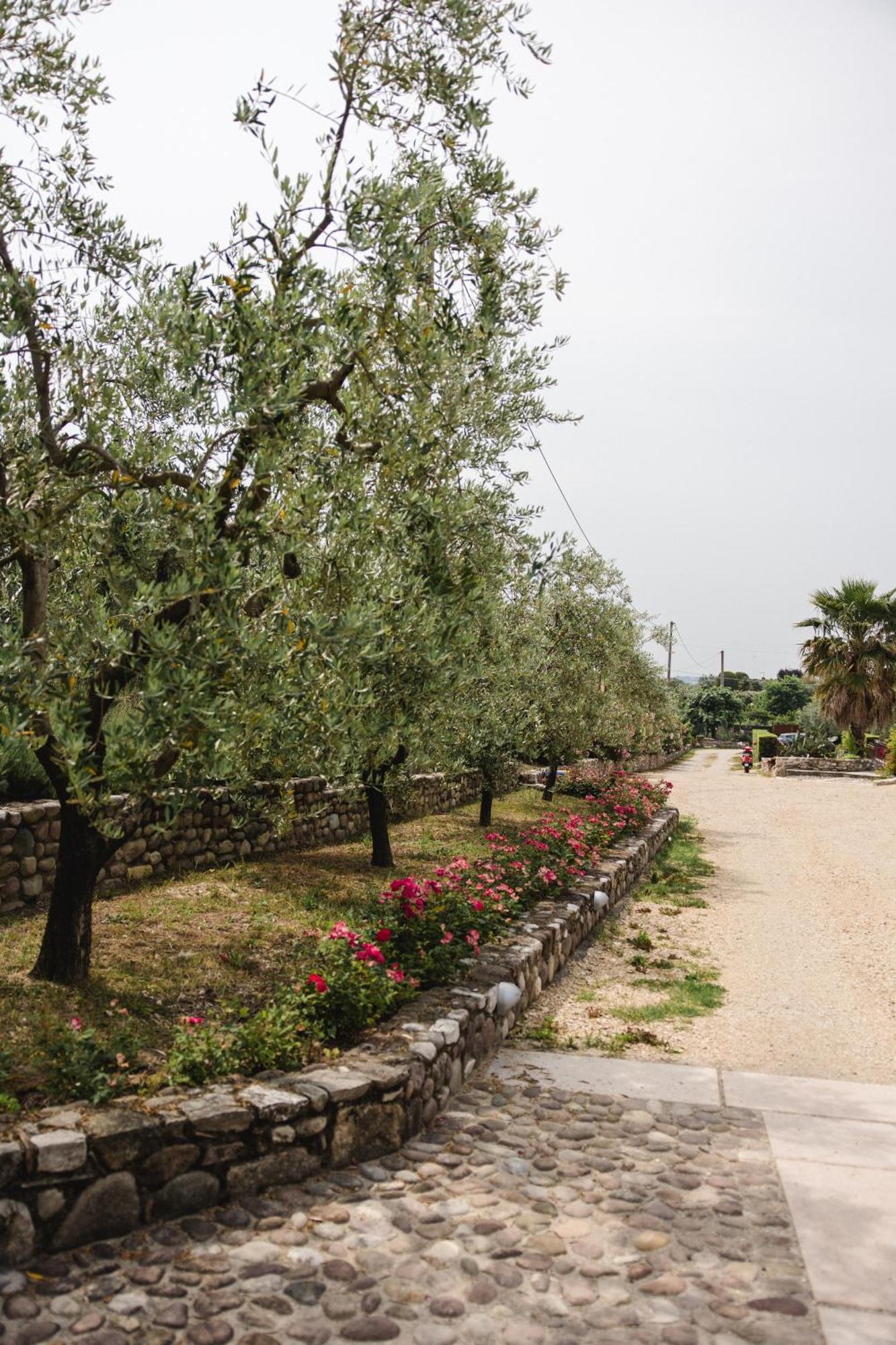 La Rondinella Apartments Bardolino Exterior photo